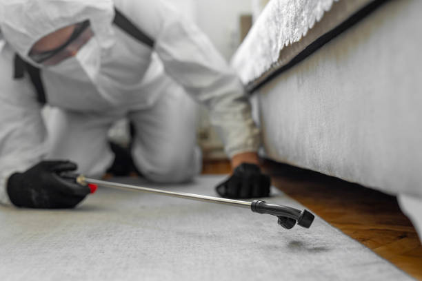 Professional Termite Control technician working in Watertown, NY