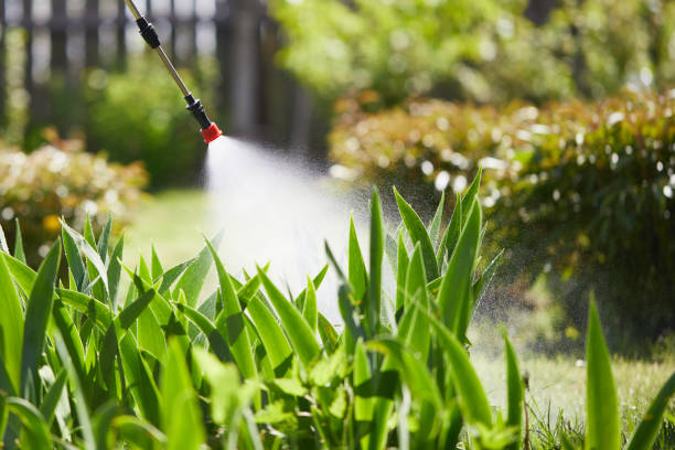 24/7 Emergency Termite Control experts in Watertown, NY