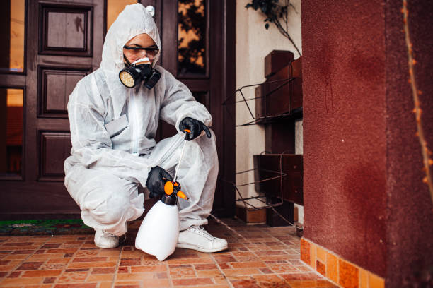 Reliable Termite Control contractor in Watertown, NY by Nex Pest Control