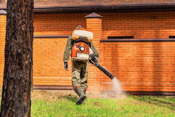 Trusted Cockroach Control service in Watertown, NY - Nex Pest Control